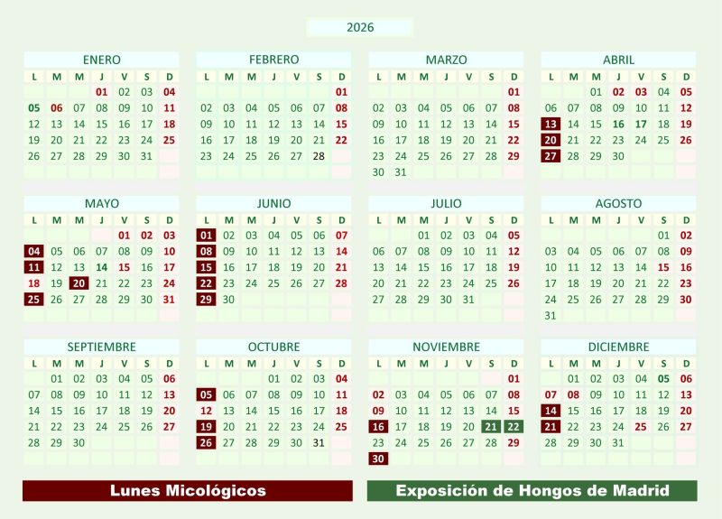 Actrividades otoño 2026