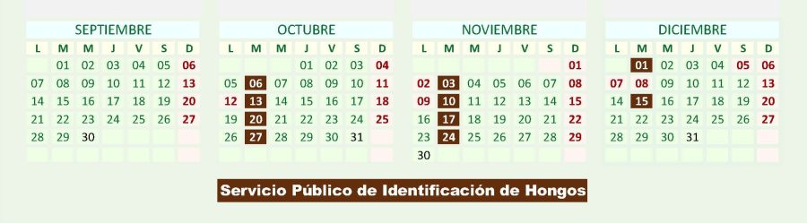 Calendario Servicio Público de Identificación 2026