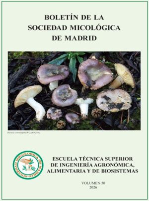 Portada SMM 2026 con marco GRANDE